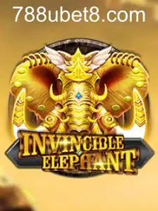 InvincibleElephant
